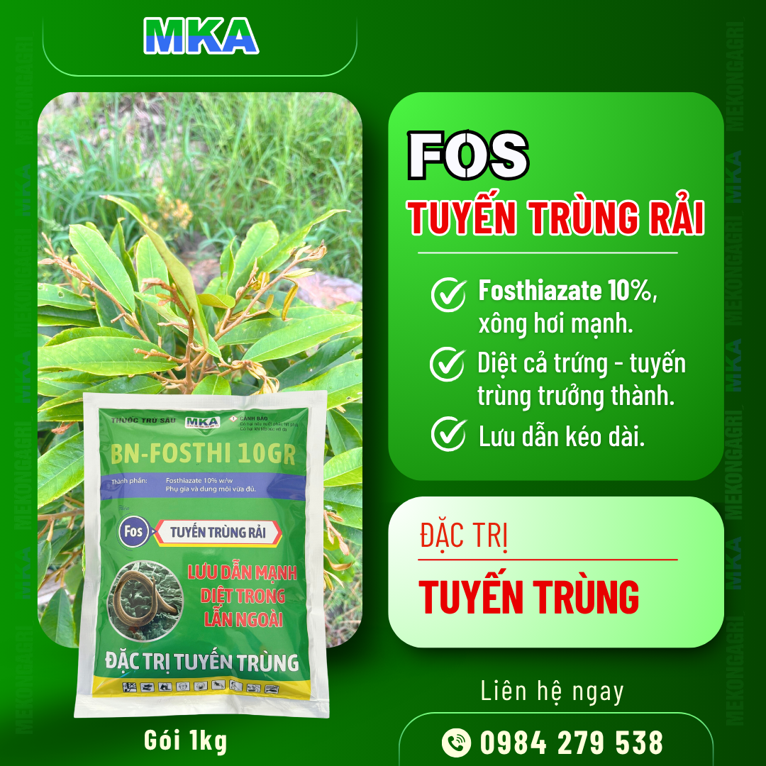 Bệnh vàng lá thối rễ